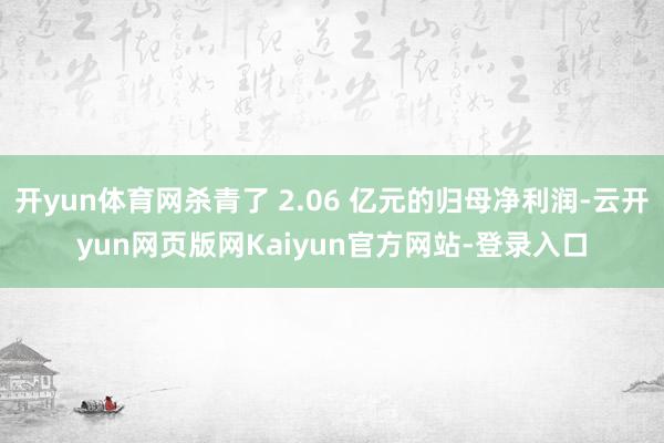 开yun体育网杀青了 2.06 亿元的归母净利润-云开yun网页版网Kaiyun官方网站-登录入口