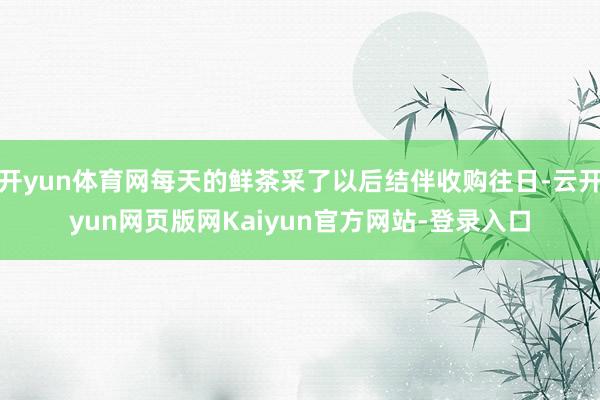 开yun体育网每天的鲜茶采了以后结伴收购往日-云开yun网页版网Kaiyun官方网站-登录入口