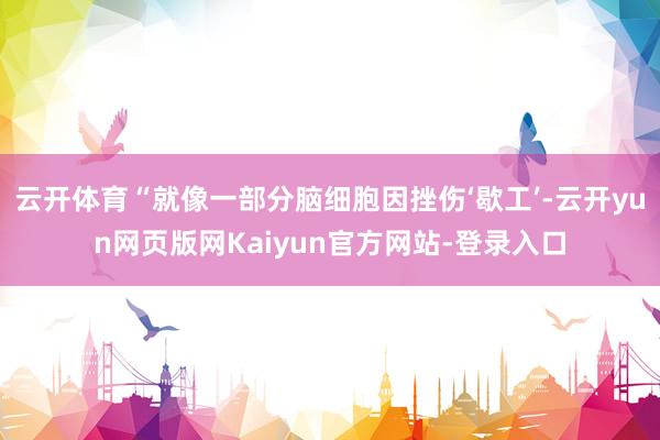 云开体育“就像一部分脑细胞因挫伤‘歇工’-云开yun网页版网Kaiyun官方网站-登录入口